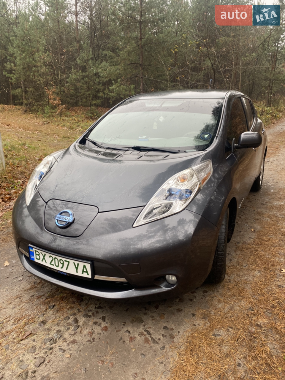 2014 Nissan Leaf - мініатюра 23