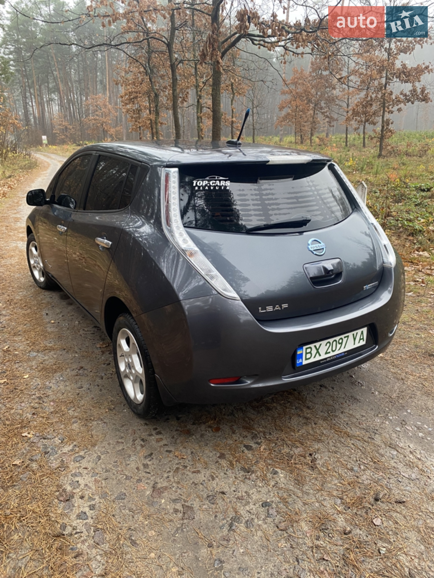 2013 Nissan Leaf - мініатюра 8