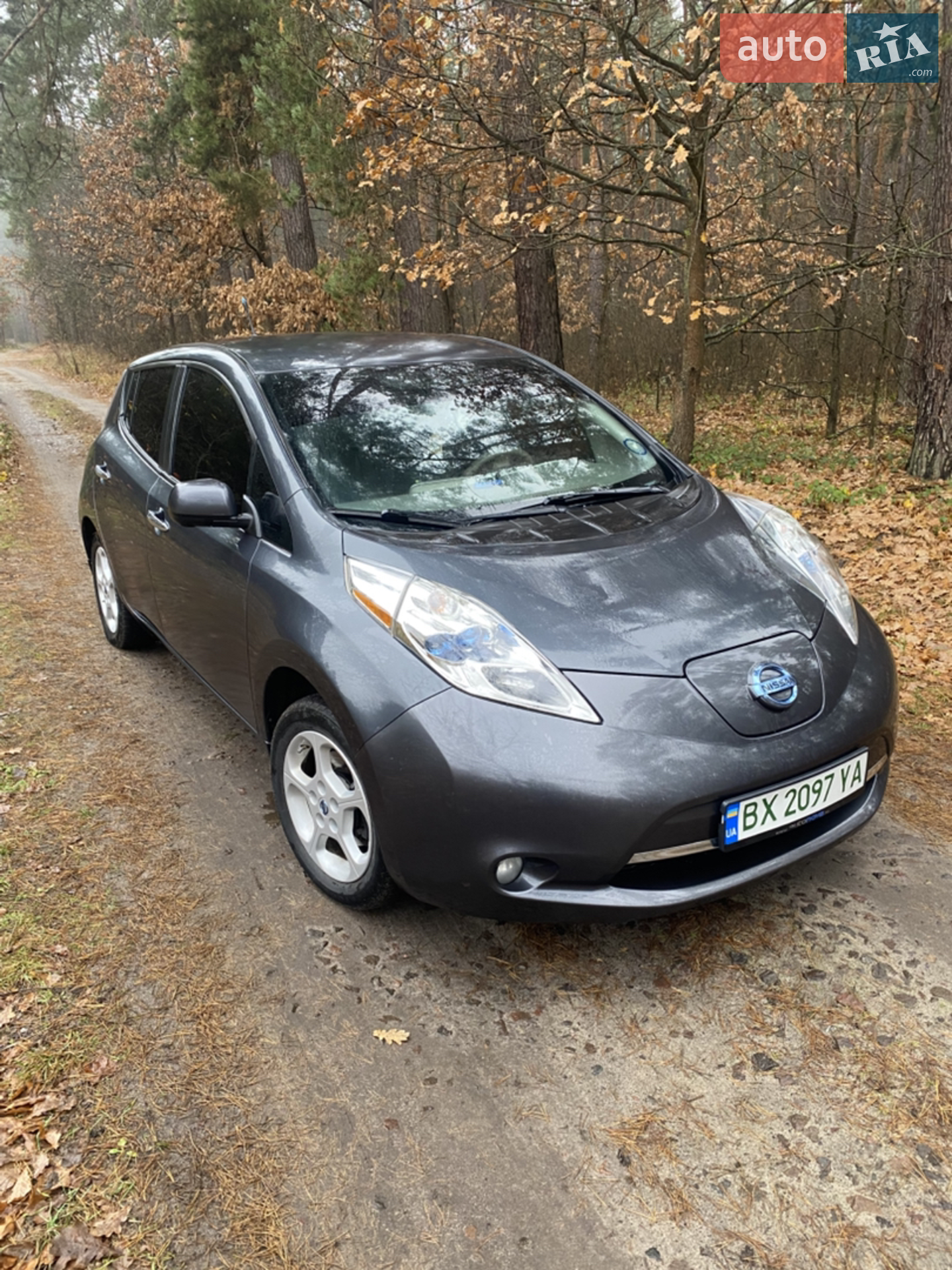 2013 Nissan Leaf - мініатюра 4