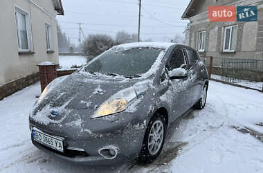 Хетчбек Nissan Leaf 2014 в Теребовлі