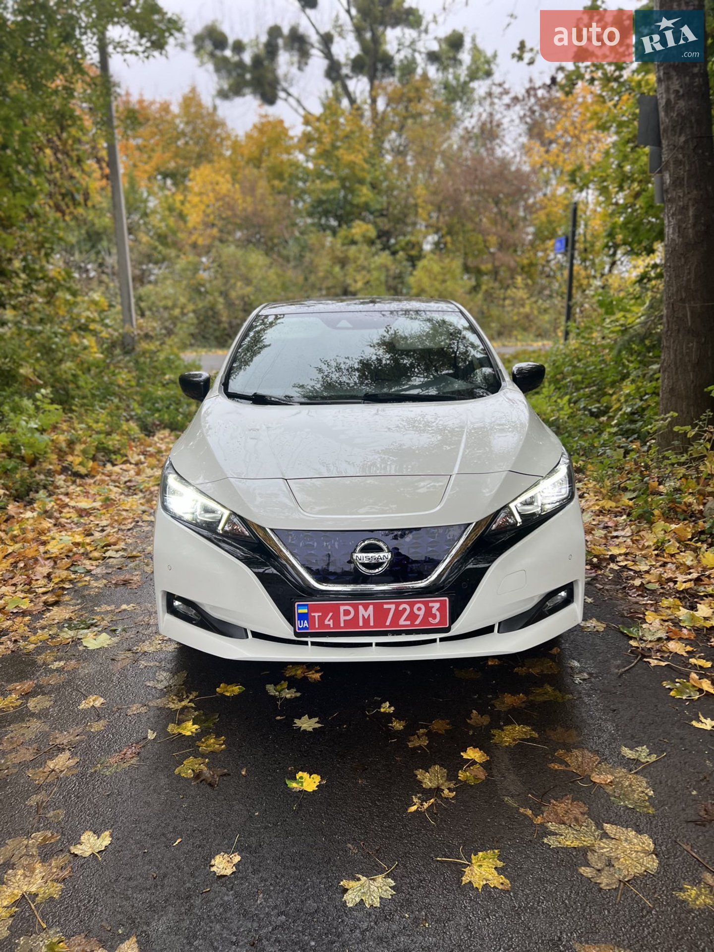 2018 Nissan Leaf - мініатюра 2