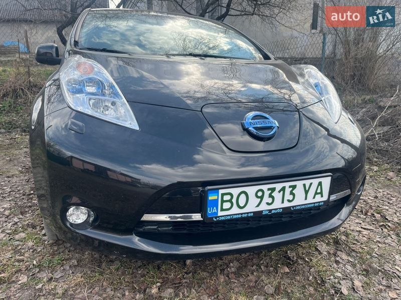 2017 Nissan Leaf, VIN SJNFAAZE0U6072475:plate — фото 1 (autoria)