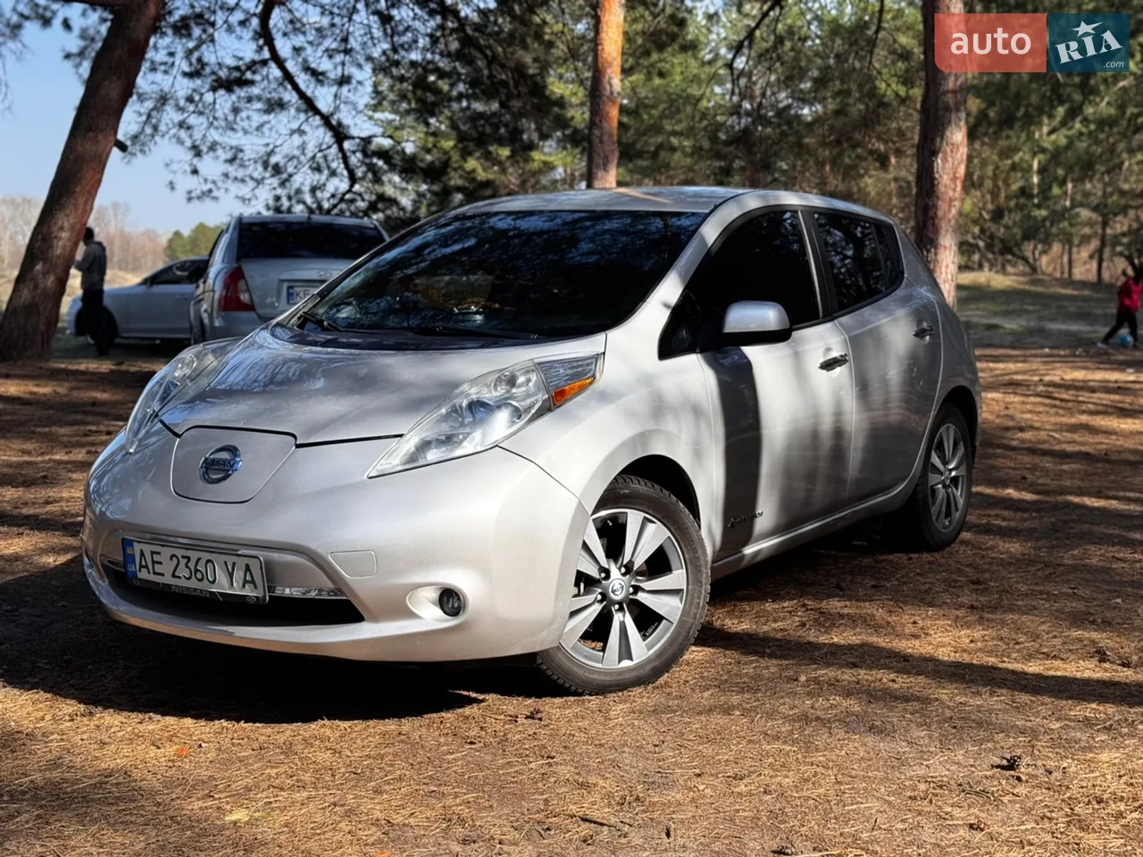 2013 Nissan Leaf - мініатюра 10