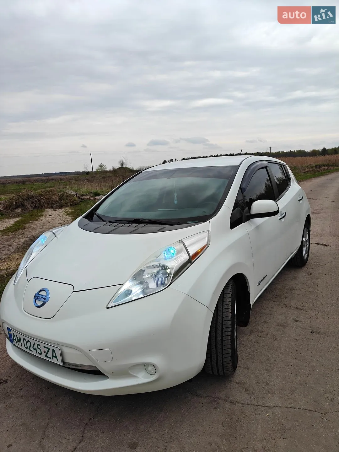 2014 Nissan Leaf - мініатюра 9