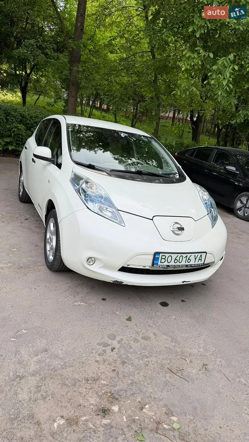 2013 Nissan Leaf - мініатюра 20