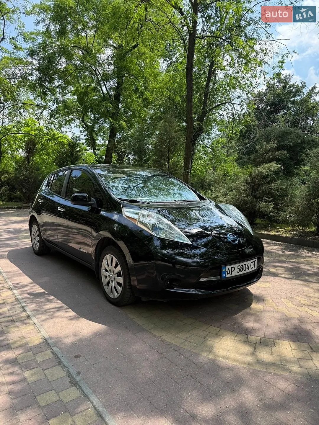 2013 Nissan Leaf - мініатюра 6