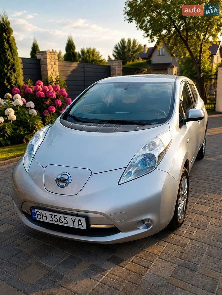 2013 Nissan Leaf - мініатюра 9