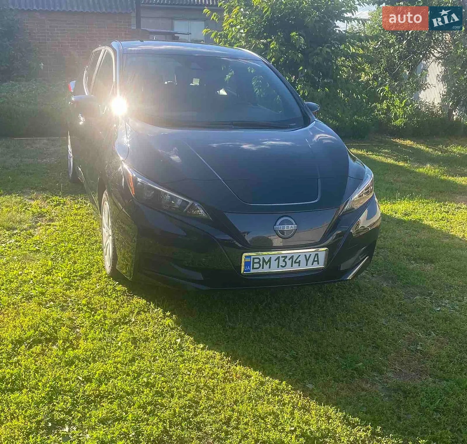 2023 Nissan Leaf - фото 1