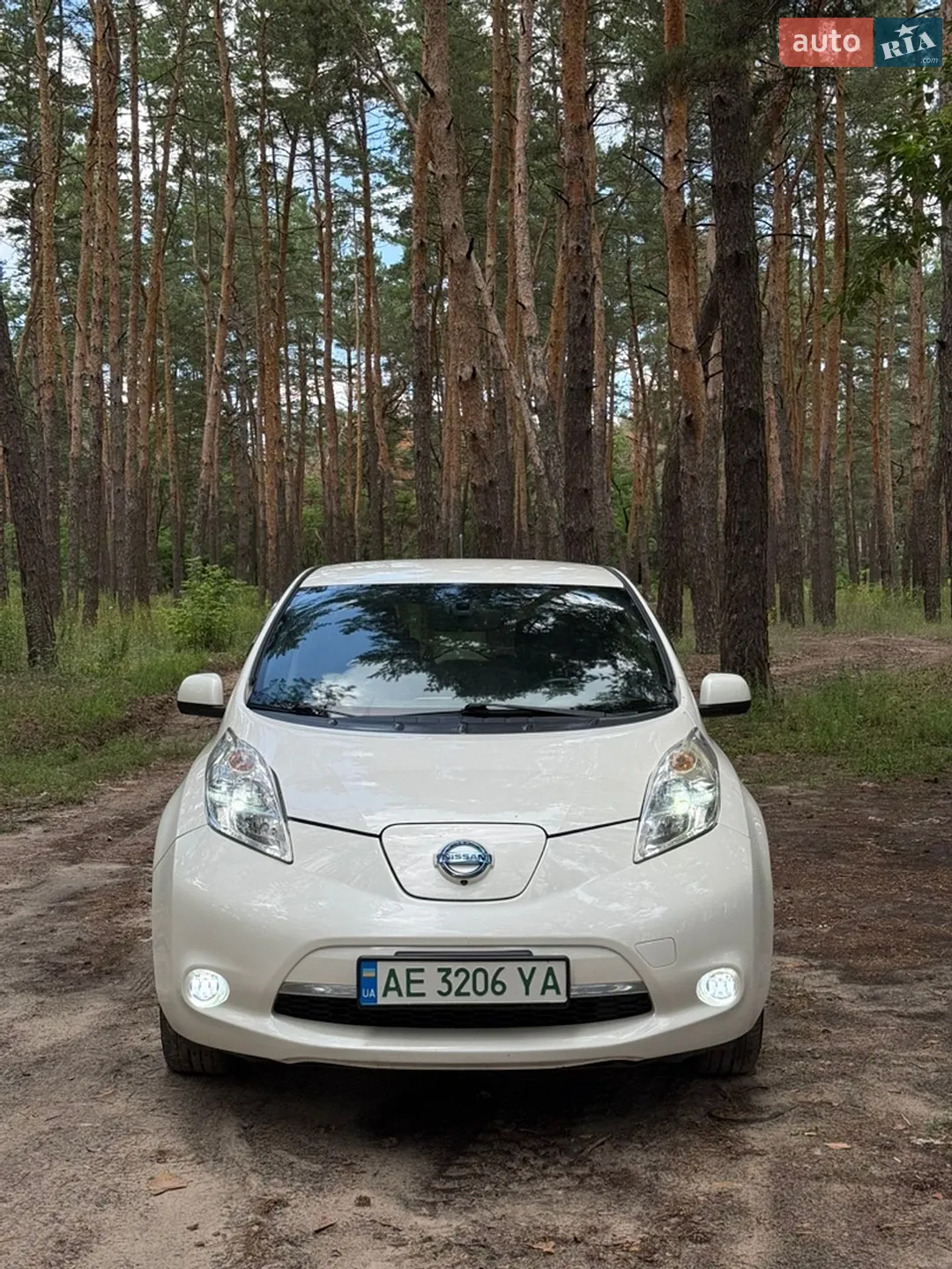2013 Nissan Leaf - мініатюра 8