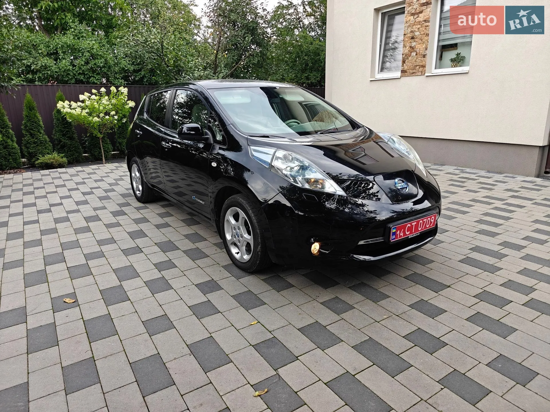 2013 Nissan Leaf - мініатюра 3