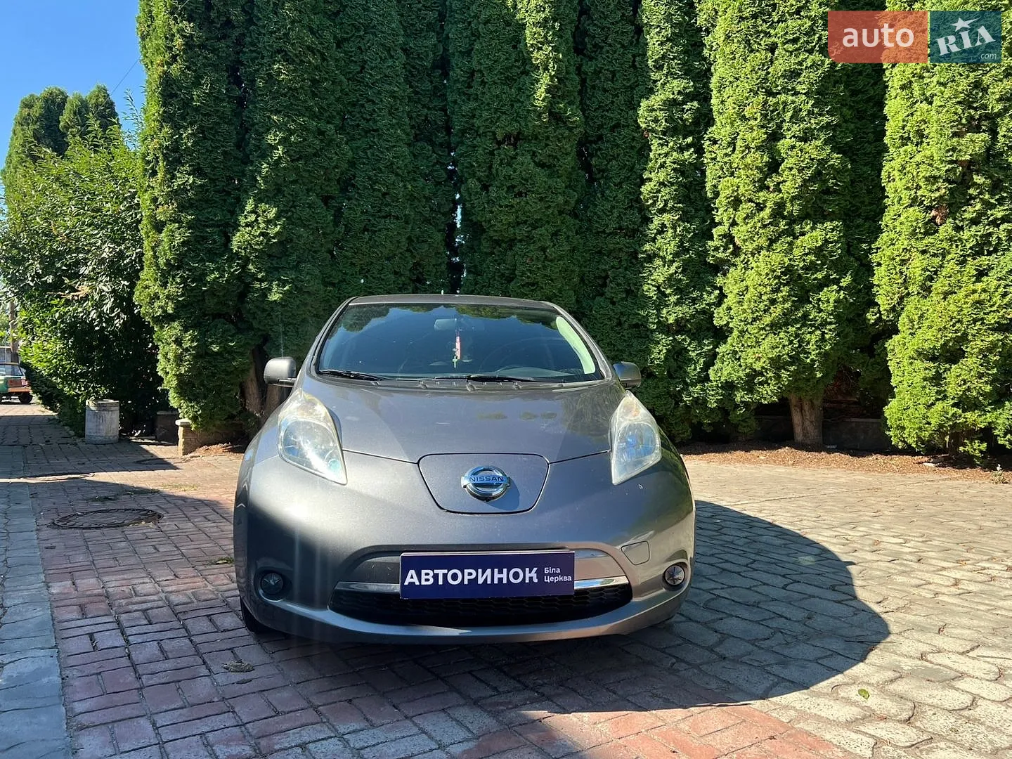 2014 Nissan Leaf - мініатюра 2