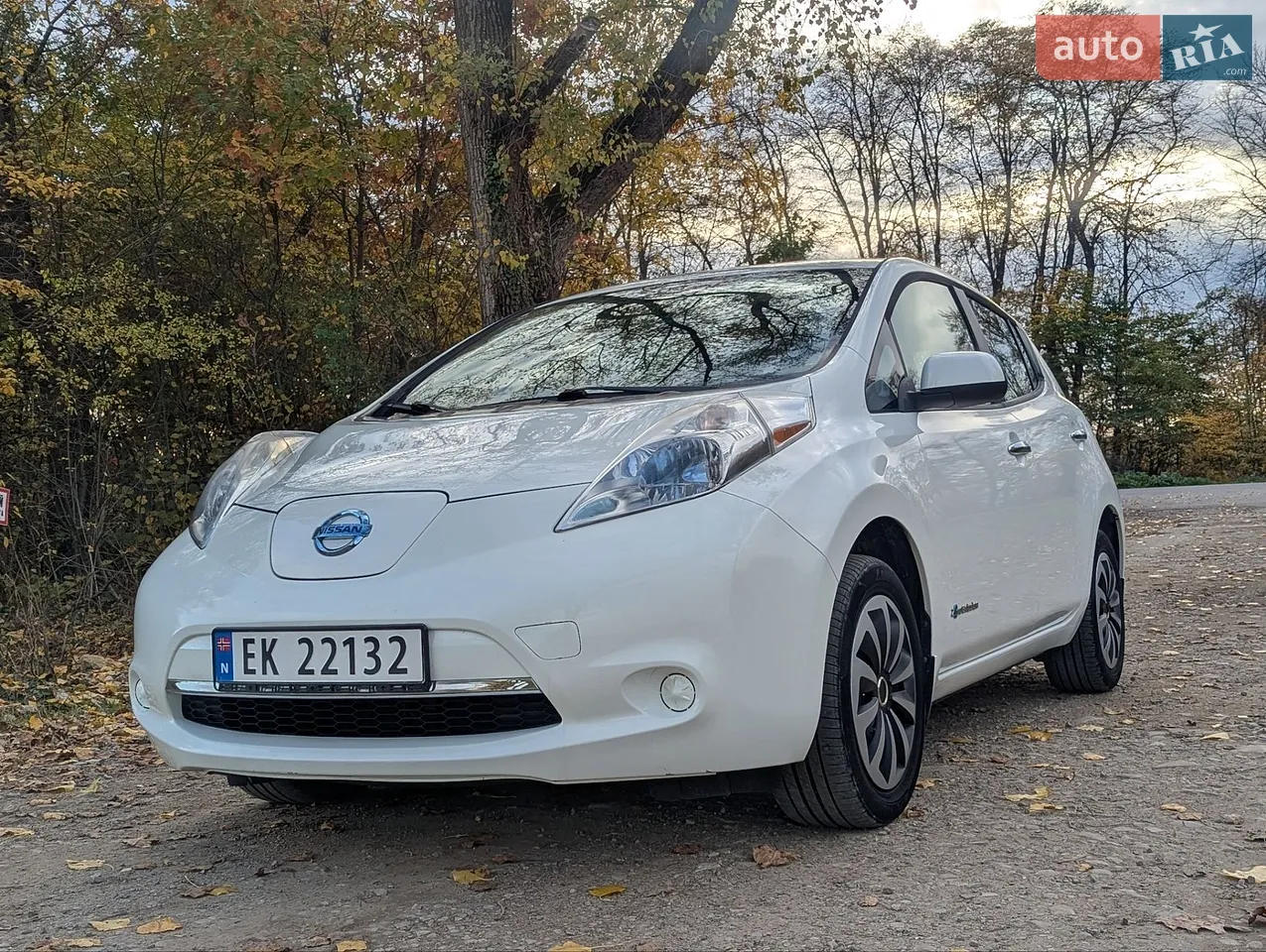 Nissan Leaf 2014