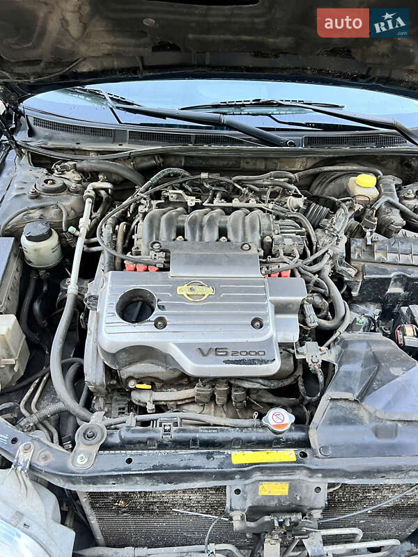 Седан Nissan Maxima 2003 в Умани