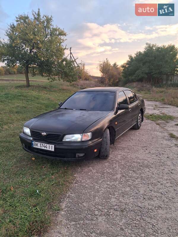 Седан Nissan Maxima 1996 в Здолбунове фото Седан Nissan Maxima 1996 в Здолбунове