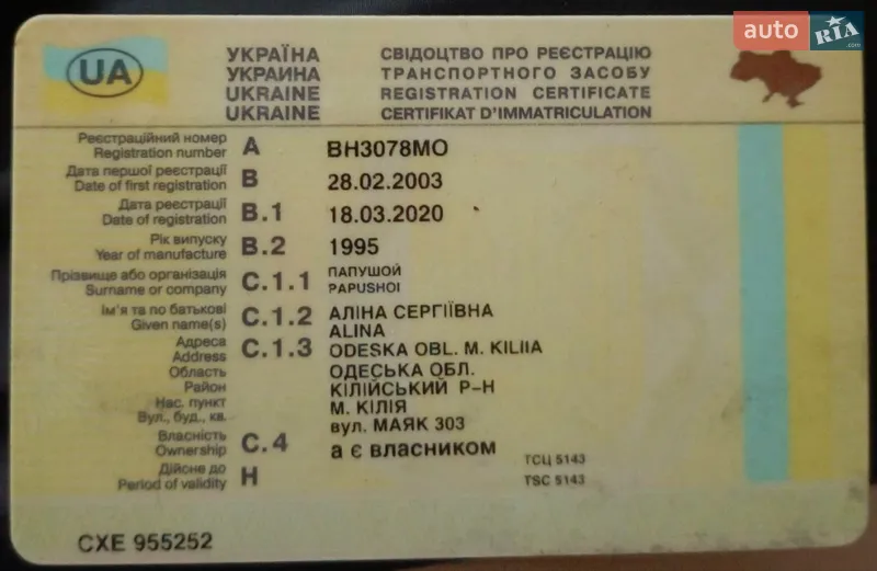 Седан Nissan Maxima 1995 в Житомире документ