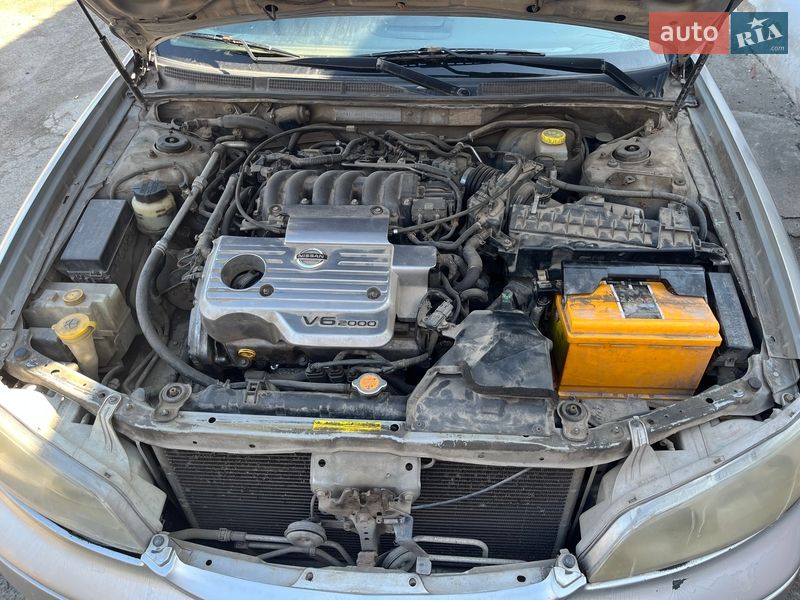 Седан Nissan Maxima 2005 в Бершади