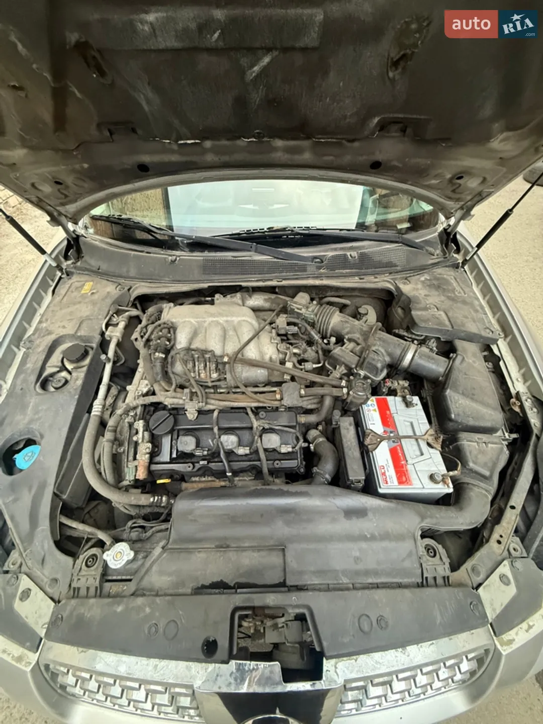 Nissan Maxima 2003 VIN 1N4BA41EX4C816814 фото оголошення 10 з 12
