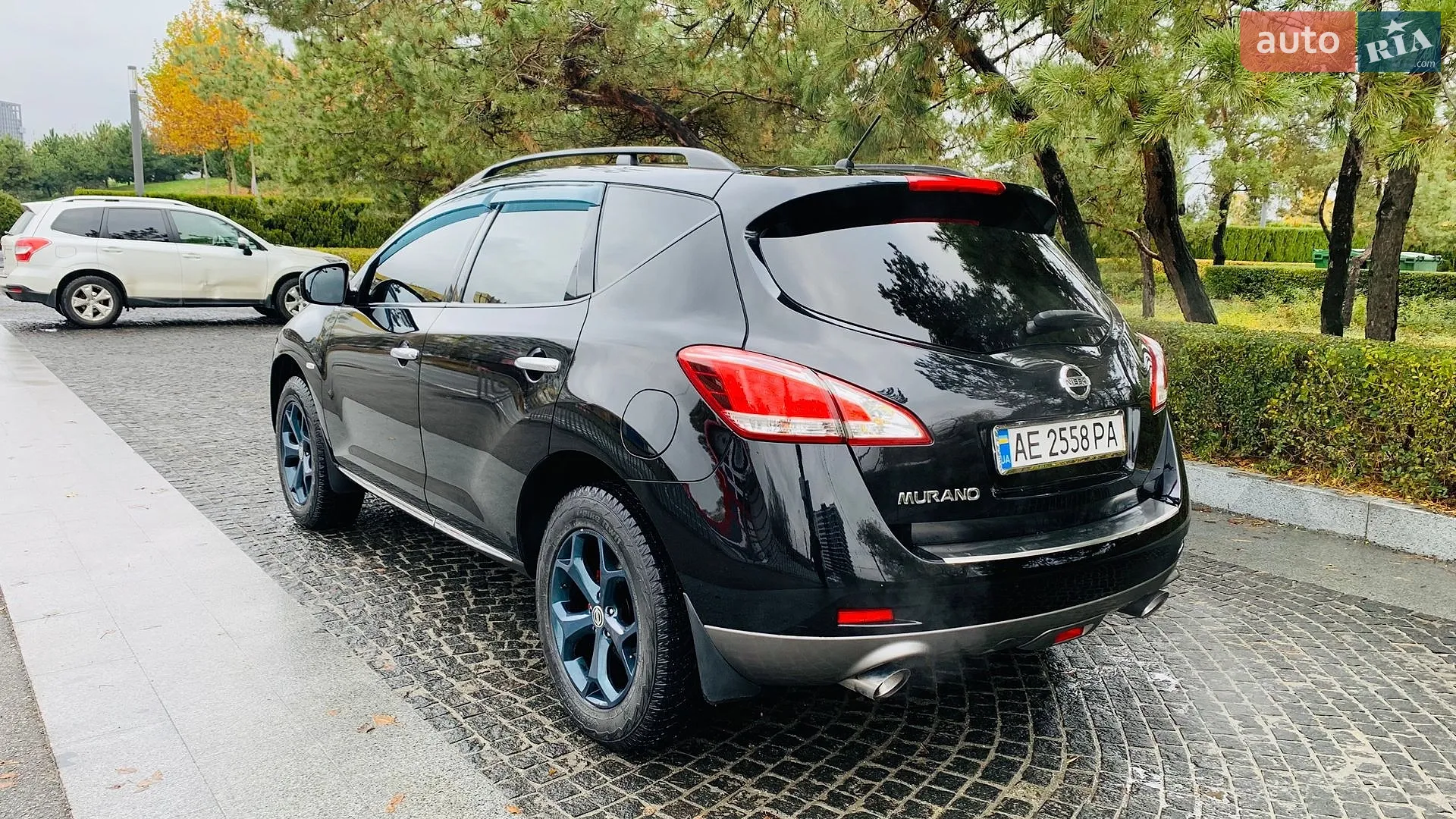 2013 Nissan Murano - мініатюра 12