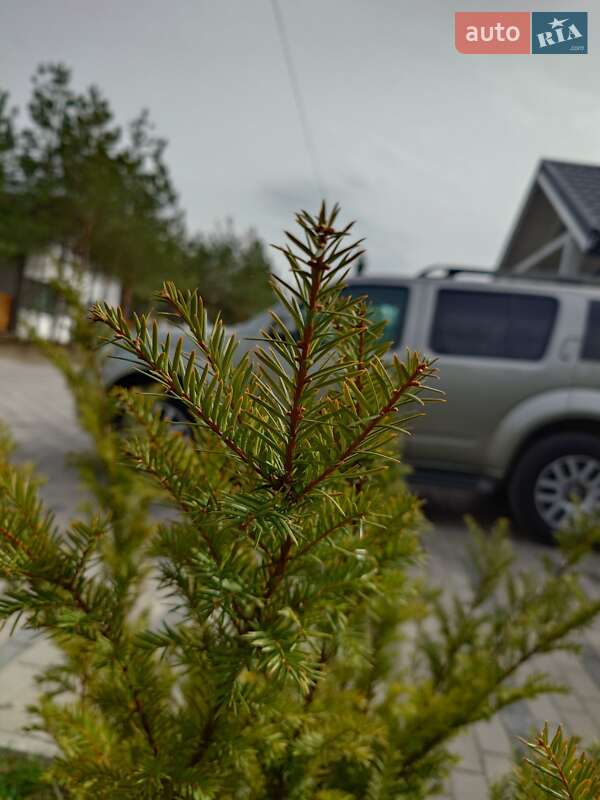 Внедорожник / Кроссовер Nissan Pathfinder 2010 в Киеве