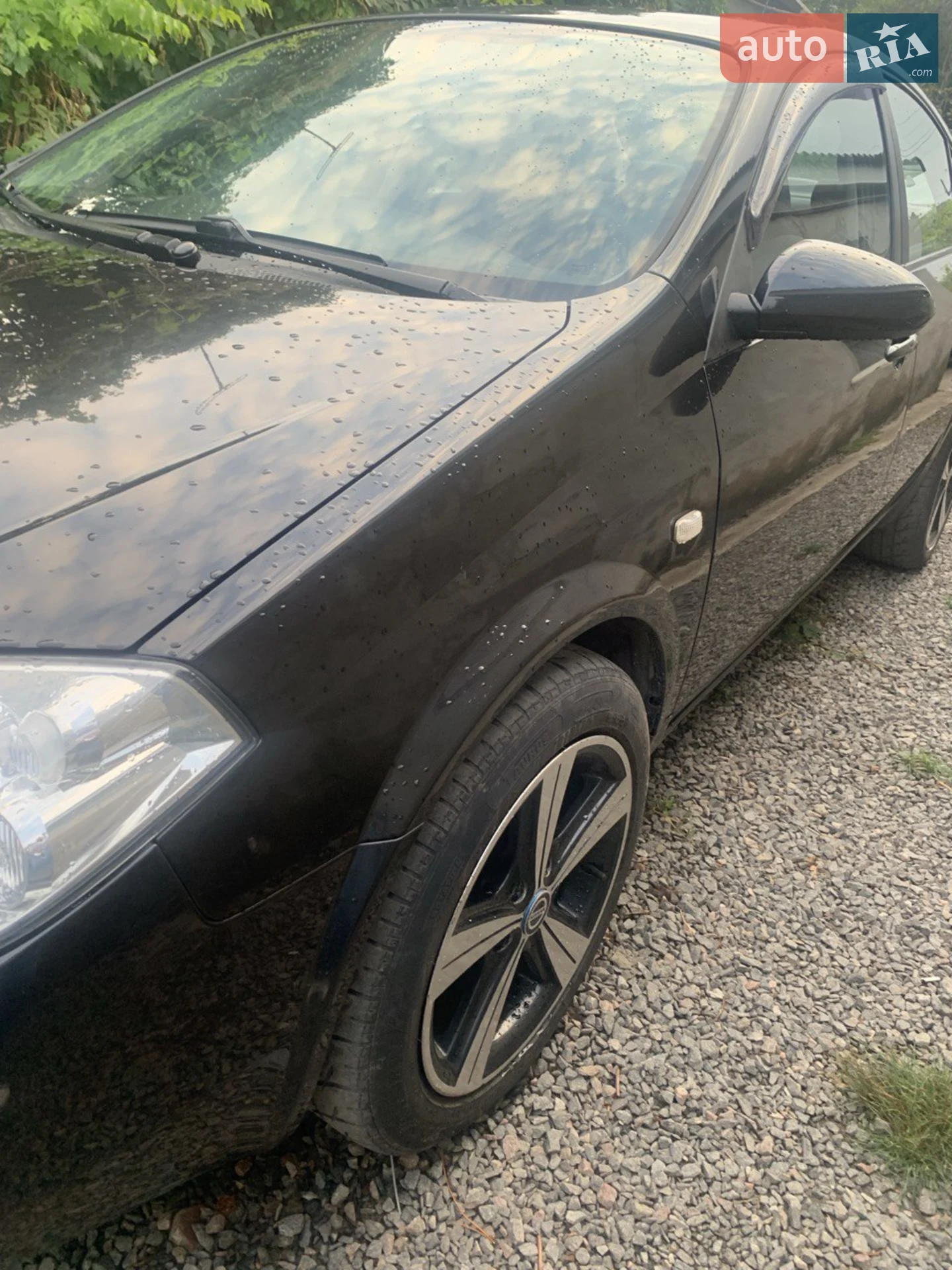 Nissan Primera 2006 VIN SJNBAAP12U2300872 фото оголошення 10 з 11