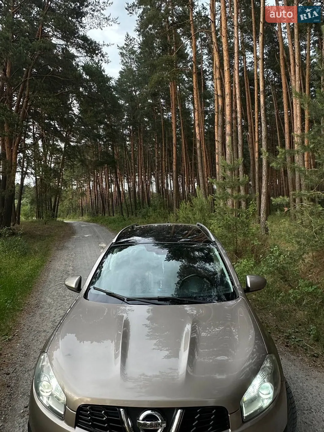 2010 Nissan Qashqai+2 - мініатюра 13