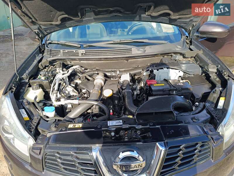 Внедорожник / Кроссовер Nissan Qashqai 2011 в Житомире фото 21 Внедорожник / Кроссовер Nissan Qashqai 2011 в Житомире