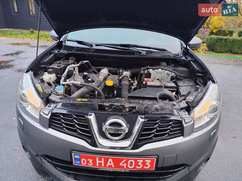 Внедорожник / Кроссовер Nissan Qashqai 2010 в Звягеле фото 46 Внедорожник / Кроссовер Nissan Qashqai 2010 в Звягеле