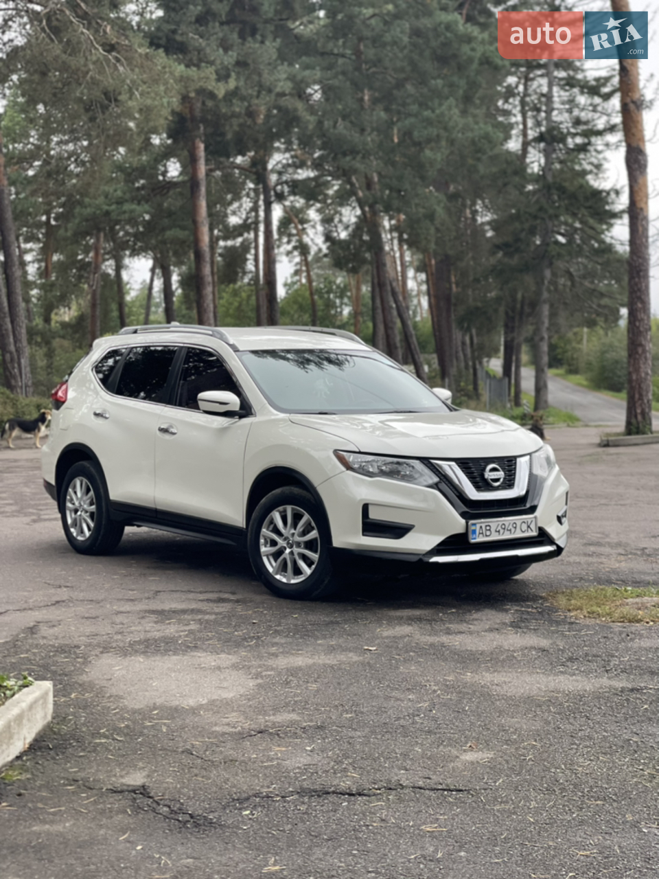 2017 Nissan Rogue - мініатюра 11