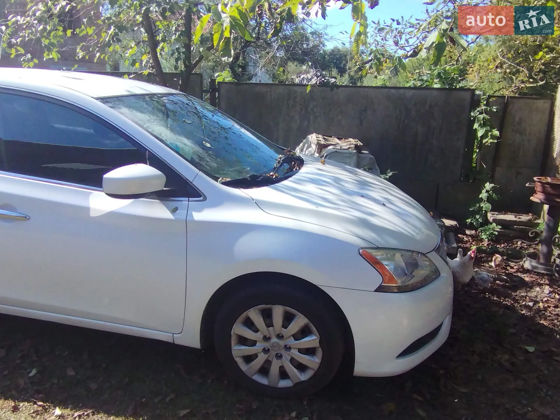 2013 Nissan Sentra - мініатюра 5
