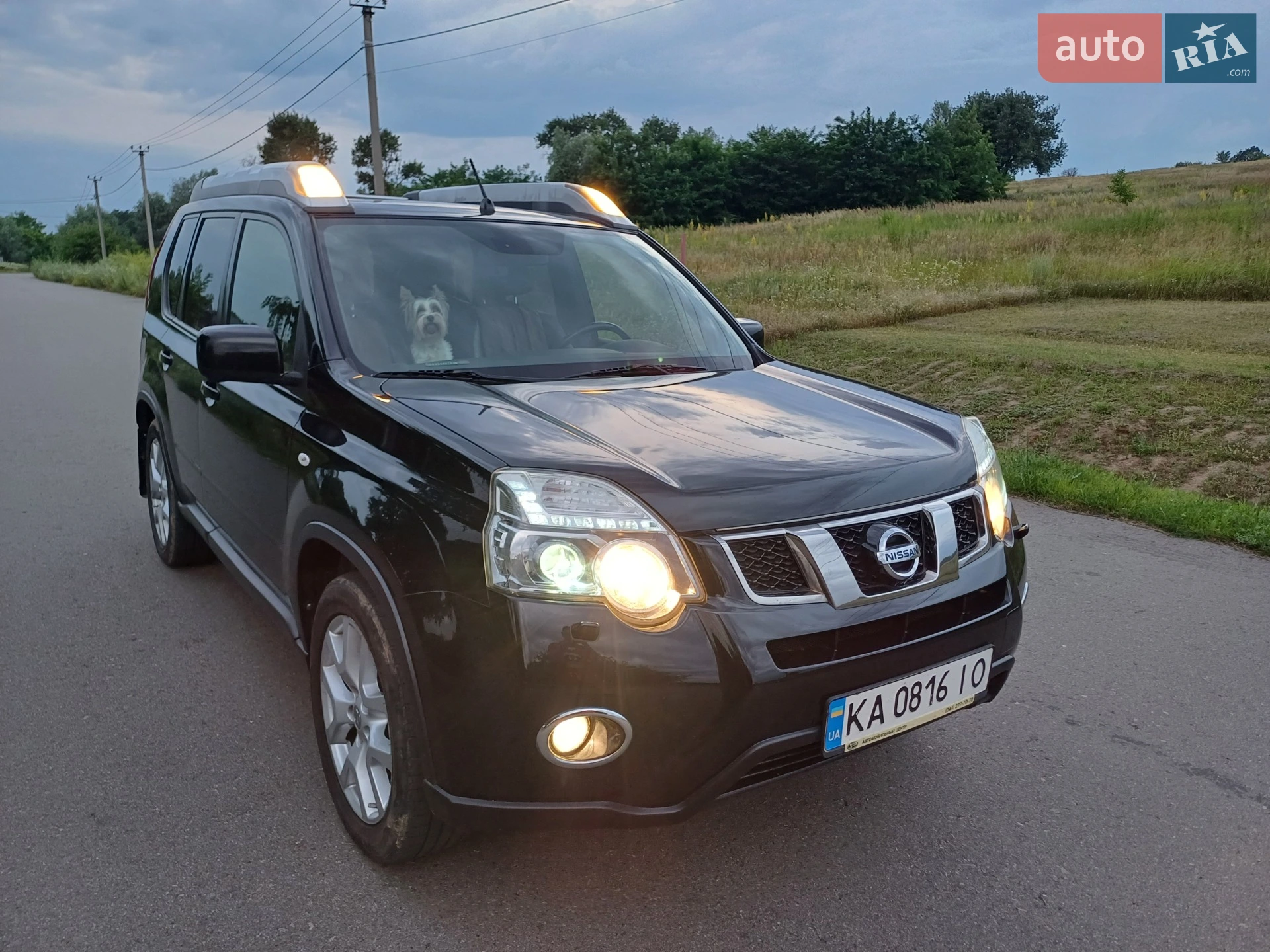 2012 Nissan X-Trail - мініатюра 5