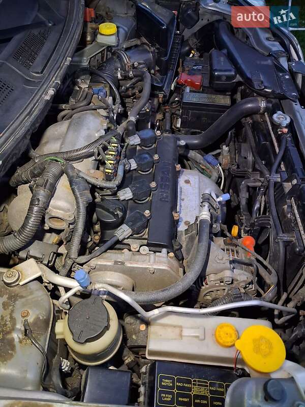 Внедорожник / Кроссовер Nissan X-Trail 2006 в Сарнах фото 17 Внедорожник / Кроссовер Nissan X-Trail 2006 в Сарнах