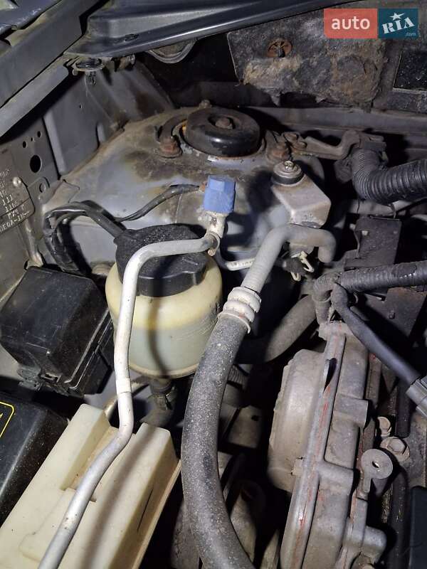 Внедорожник / Кроссовер Nissan X-Trail 2006 в Сарнах фото 22 Внедорожник / Кроссовер Nissan X-Trail 2006 в Сарнах