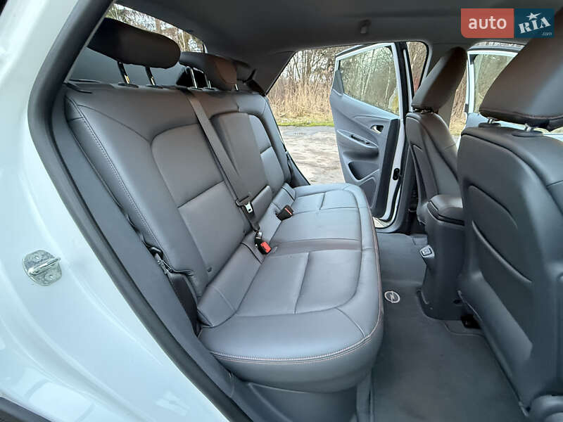 Хэтчбек Opel Ampera-e 2019 в Львове фото 29 Хэтчбек Opel Ampera-e 2019 в Львове