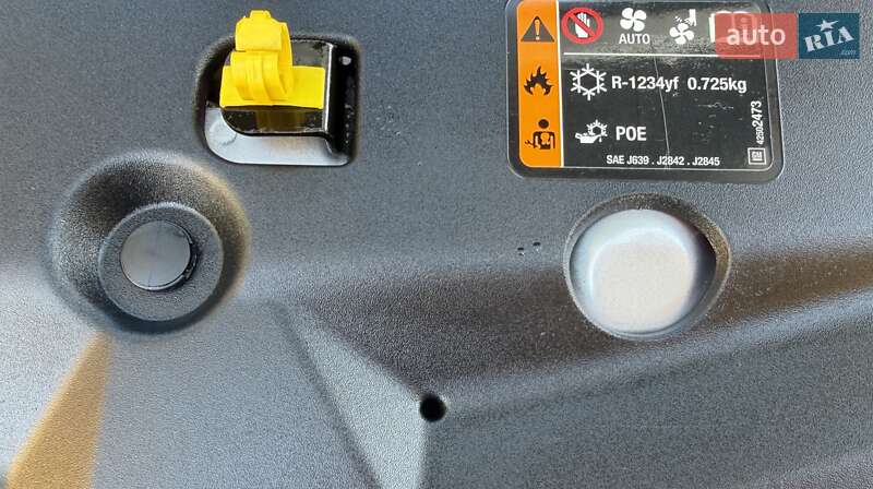 Хэтчбек Opel Ampera-e 2019 в Львове фото 43 Хэтчбек Opel Ampera-e 2019 в Львове