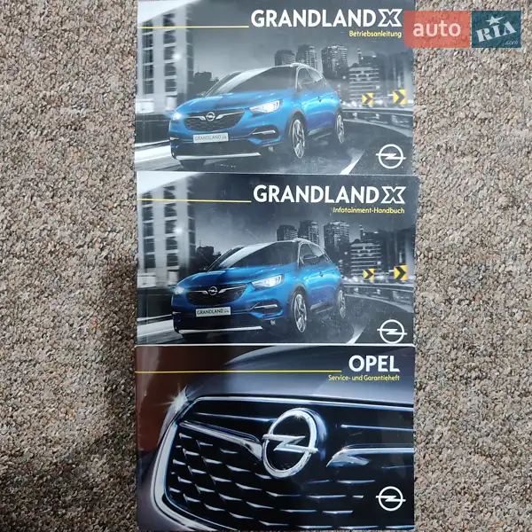 Внедорожник / Кроссовер Opel Grandland X 2018 в Бердичеве документ