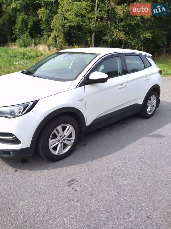 Внедорожник / Кроссовер Opel Grandland X 2019 в Красилове