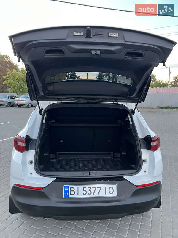Внедорожник / Кроссовер Opel Grandland X 2020 в Козельщине фото 65 Внедорожник / Кроссовер Opel Grandland X 2020 в Козельщине