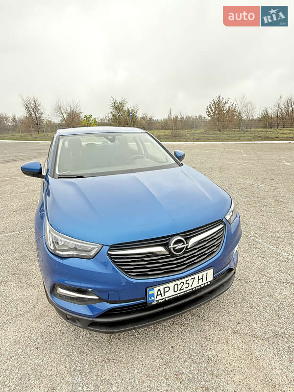 Внедорожник / Кроссовер Opel Grandland X 2019 в Днепре