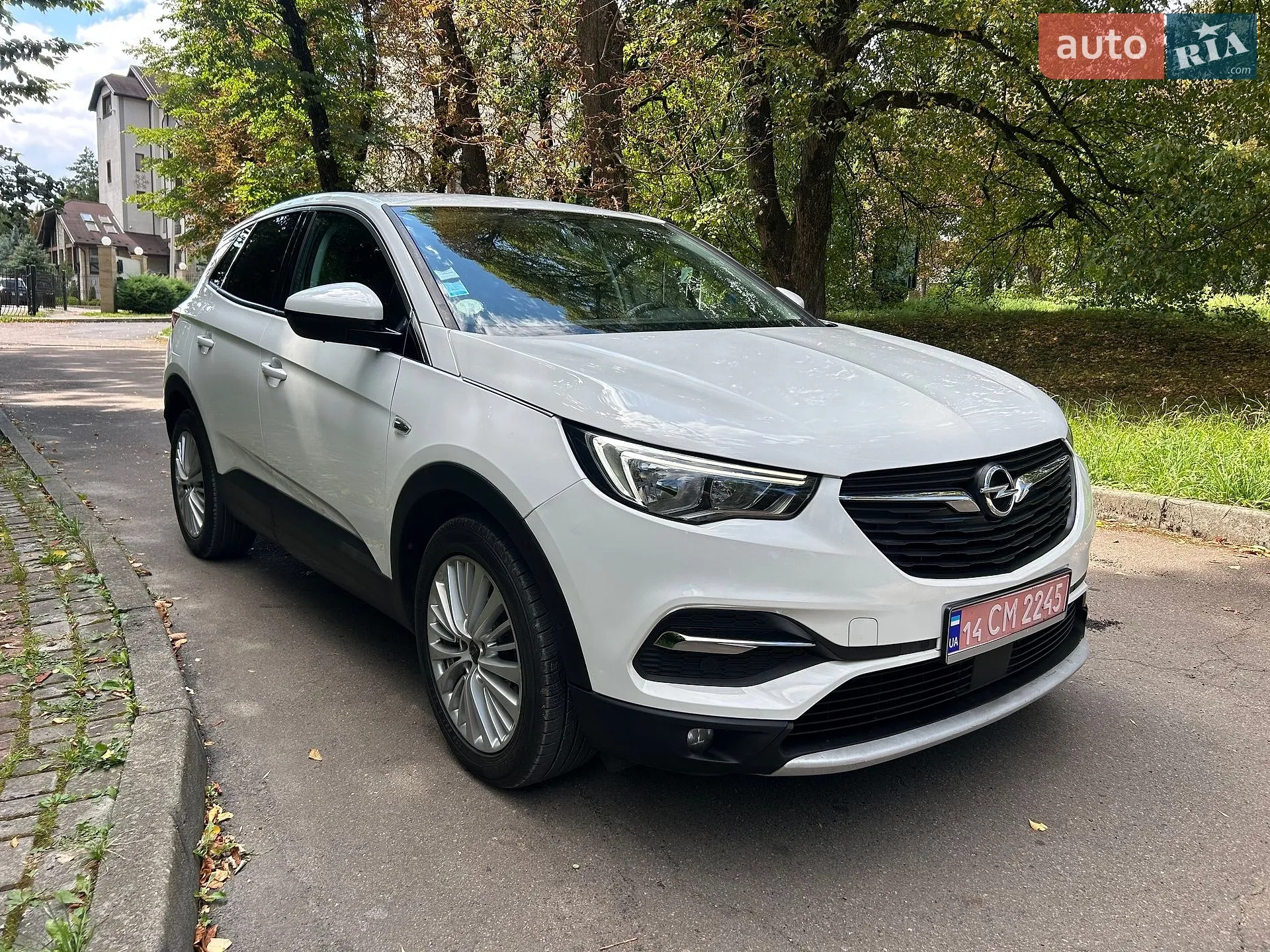 2018 Opel Grandland X - мініатюра 20