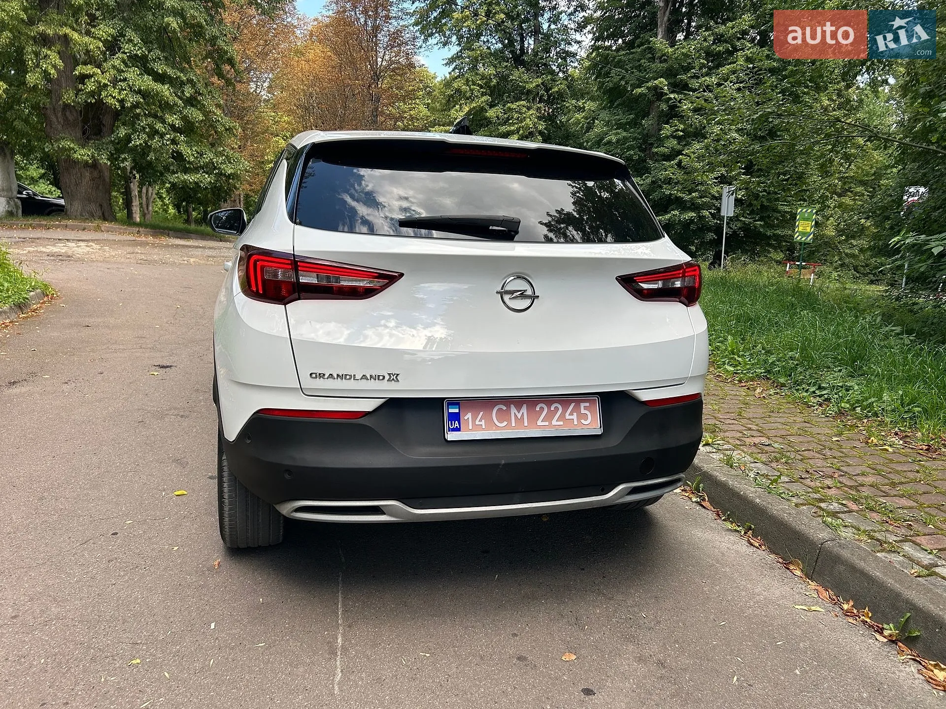 2018 Opel Grandland X - мініатюра 22