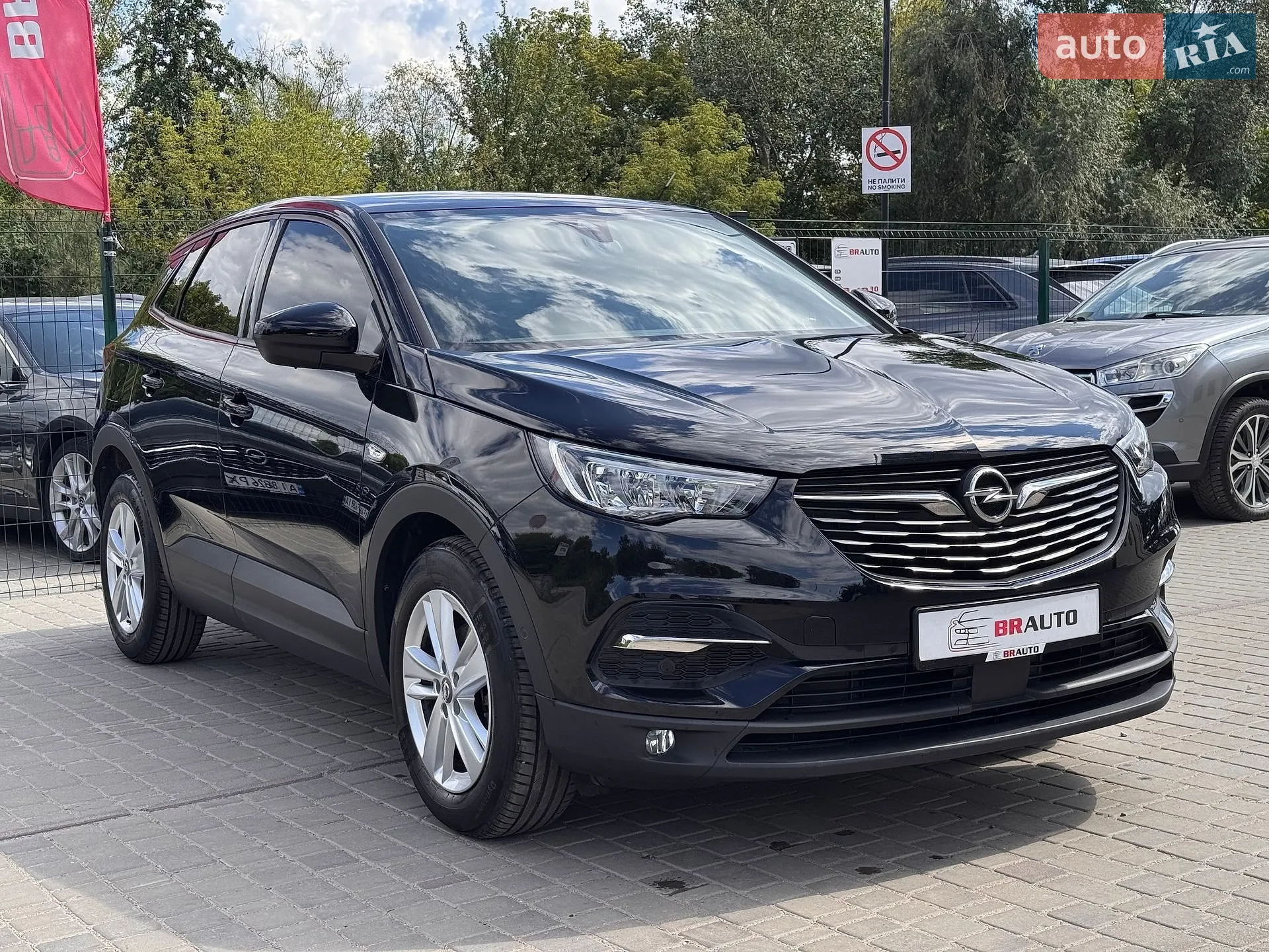 2021 Opel Grandland X - мініатюра 9