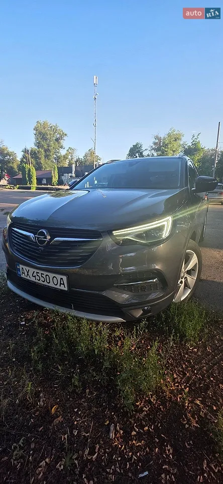 2019 Opel Grandland X - мініатюра 29