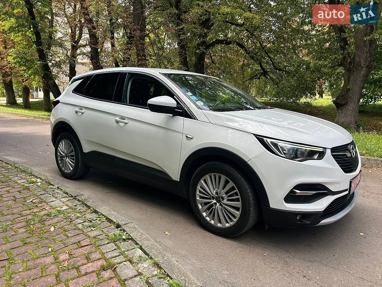 2018 Opel Grandland X - мініатюра 24