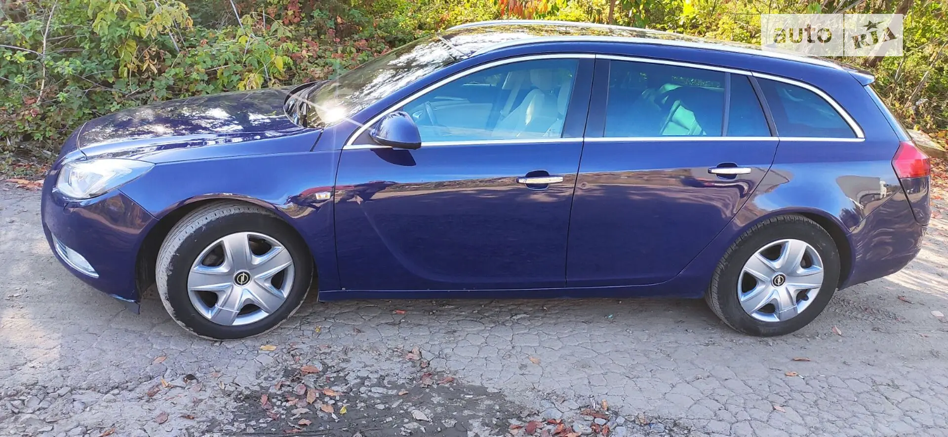 2010 Opel Insignia - мініатюра 8