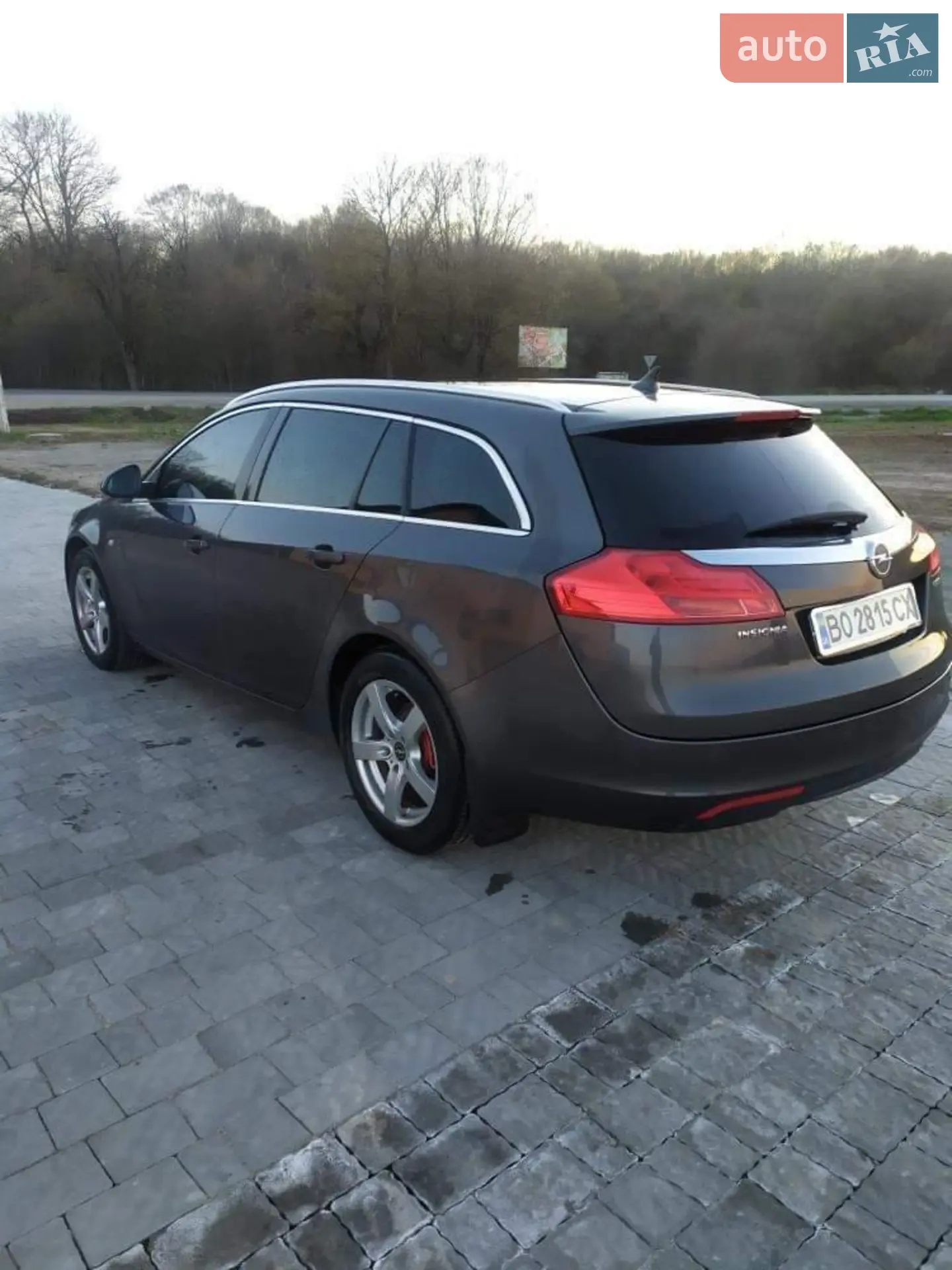 2010 Opel Insignia - мініатюра 3