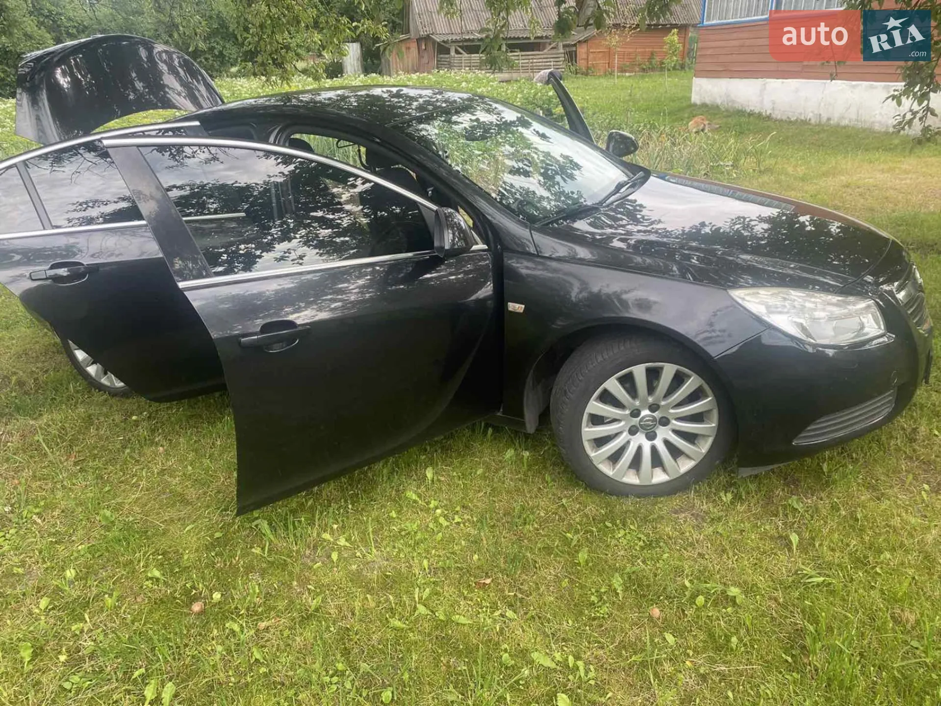 2010 Opel Insignia - мініатюра 2