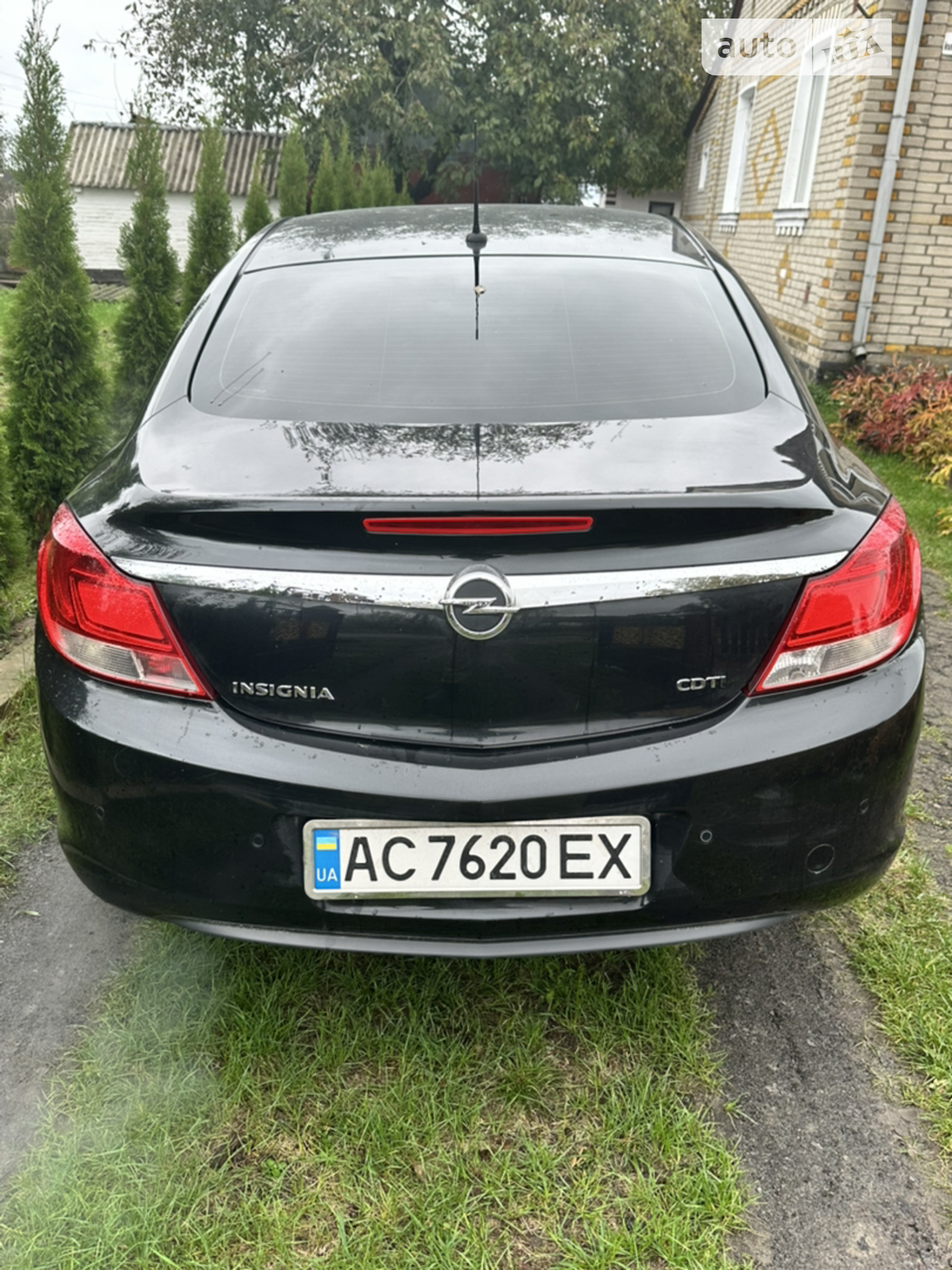 2010 Opel Insignia - мініатюра 5