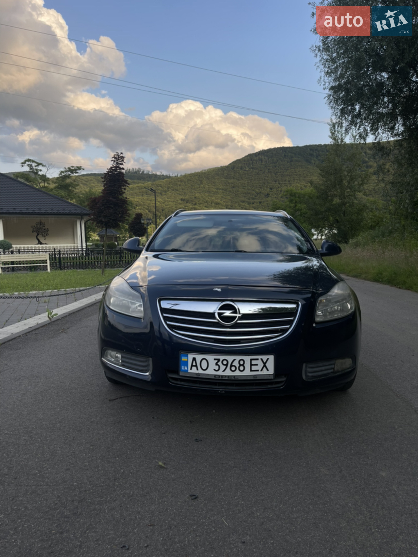 2010 Opel Insignia - мініатюра 2