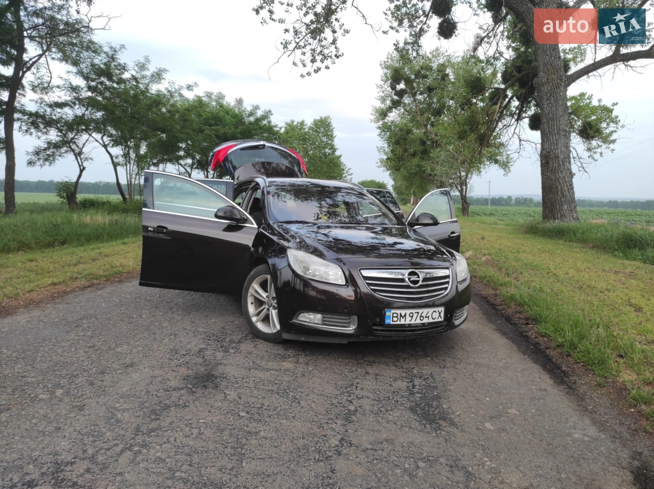 2010 Opel Insignia - мініатюра 12