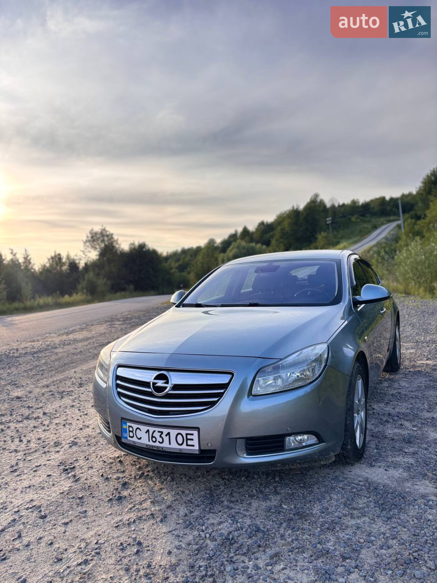 2010 Opel Insignia - фото 1